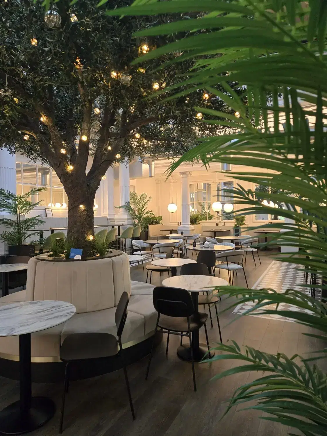 Network Scientific Offices